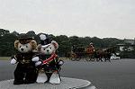 Dcim7318/DSC_4236