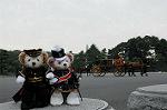Dcim7318/DSC_4238