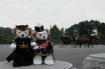 Dcim7318/DSC_4242