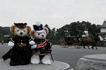Dcim7318/DSC_4243
