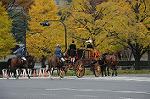 Dcim7318/DSC_4251