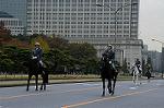 Dcim7318/DSC_4261
