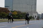 Dcim7318/DSC_4262