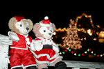 Dcim7319/DSC_4264