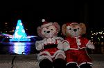Dcim7327/DSC_4931