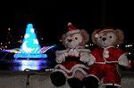 Dcim7327/DSC_4936