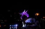 Dcim7329/DSC_5271