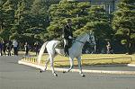 Dcim7331/DSC_4727