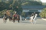 Dcim7331/DSC_4734