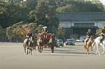 Dcim7331/DSC_4735