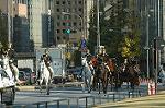 Dcim7331/DSC_4744