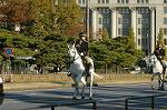 Dcim7331/DSC_4749