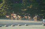 Dcim7331/DSC_4764