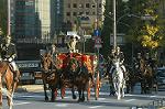 Dcim7331/DSC_4782