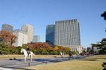 Dcim7333/DSC_5468