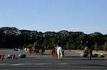 Dcim7333/DSC_5502