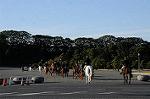 Dcim7333/DSC_5504