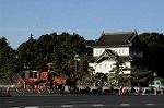 Dcim7333/DSC_5517