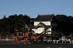 Dcim7333/DSC_5519