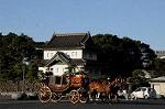 Dcim7333/DSC_5522