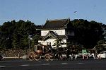 Dcim7333/DSC_5528