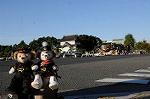 Dcim7333/DSC_5530