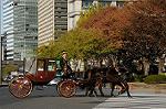 Dcim7333/DSC_5532