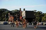 Dcim7333/DSC_5568