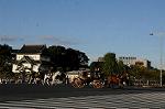 Dcim7334/DSC_5612