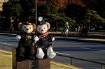 Dcim7334/DSC_5616
