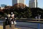 Dcim7334/DSC_5623