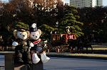 Dcim7334/DSC_5635