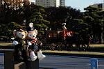 Dcim7334/DSC_5637