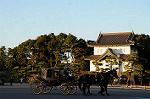 Dcim7334/DSC_5668