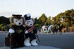 Dcim7334/DSC_5675
