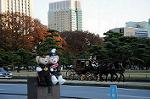 Dcim7334/DSC_5694