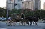 Dcim7334/DSC_5703