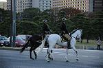 Dcim7334/DSC_5716