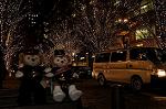 Dcim7335/DSC_5752