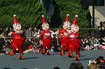 Dcim7337/DSC_4883