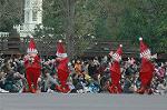 Dcim7338/DSC_5009