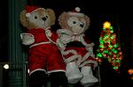 Dcim7339/DSC_5207