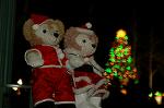 Dcim7339/DSC_5219