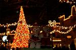 Dcim7339/DSC_5242