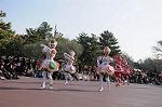 Dcim7340/DSC_6052
