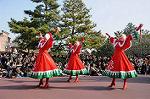 Dcim7341/DSC_6101