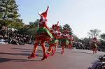 Dcim7342/DSC_6293