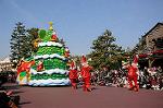 Dcim7342/DSC_6337
