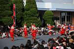 Dcim7342/DSC_6341