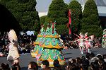 Dcim7343/DSC_6390